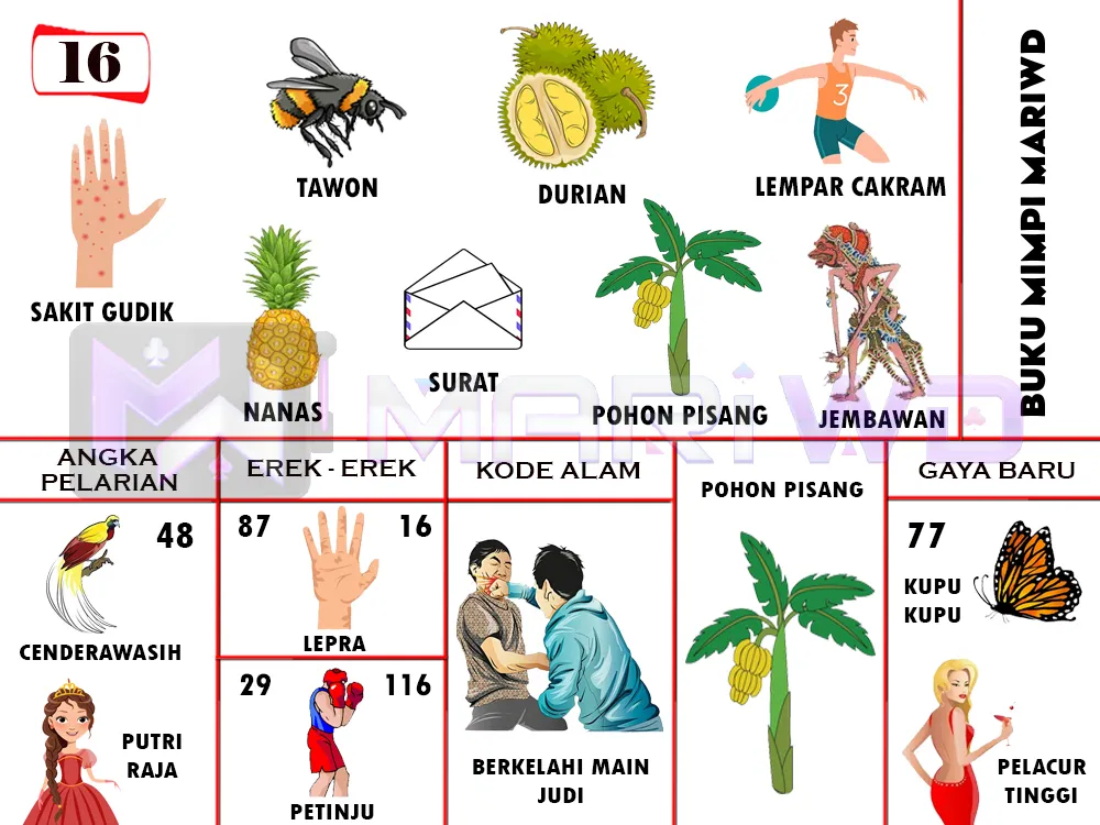 buku mimpi erek erek togel 16