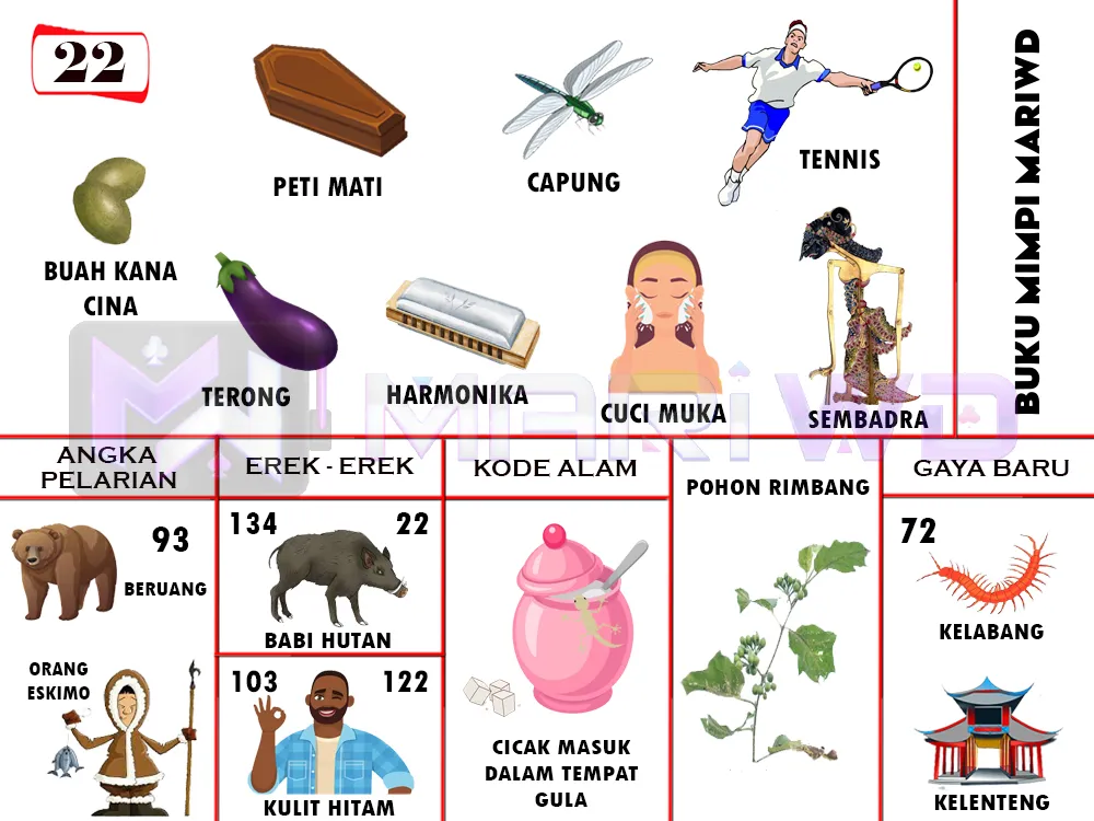 buku mimpi erek erek togel 22