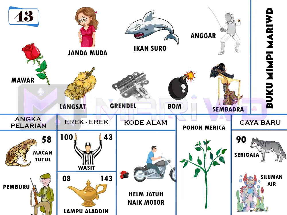 buku mimpi erek erek togel 43