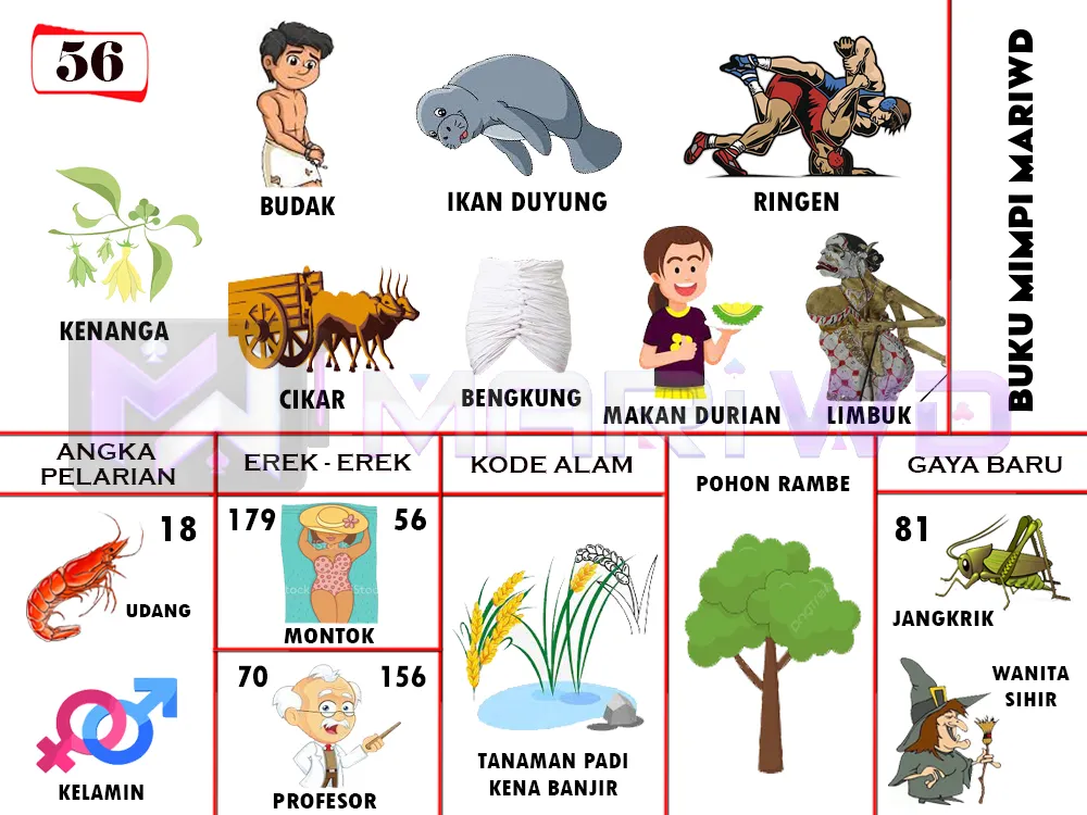 buku mimpi erek erek togel 56