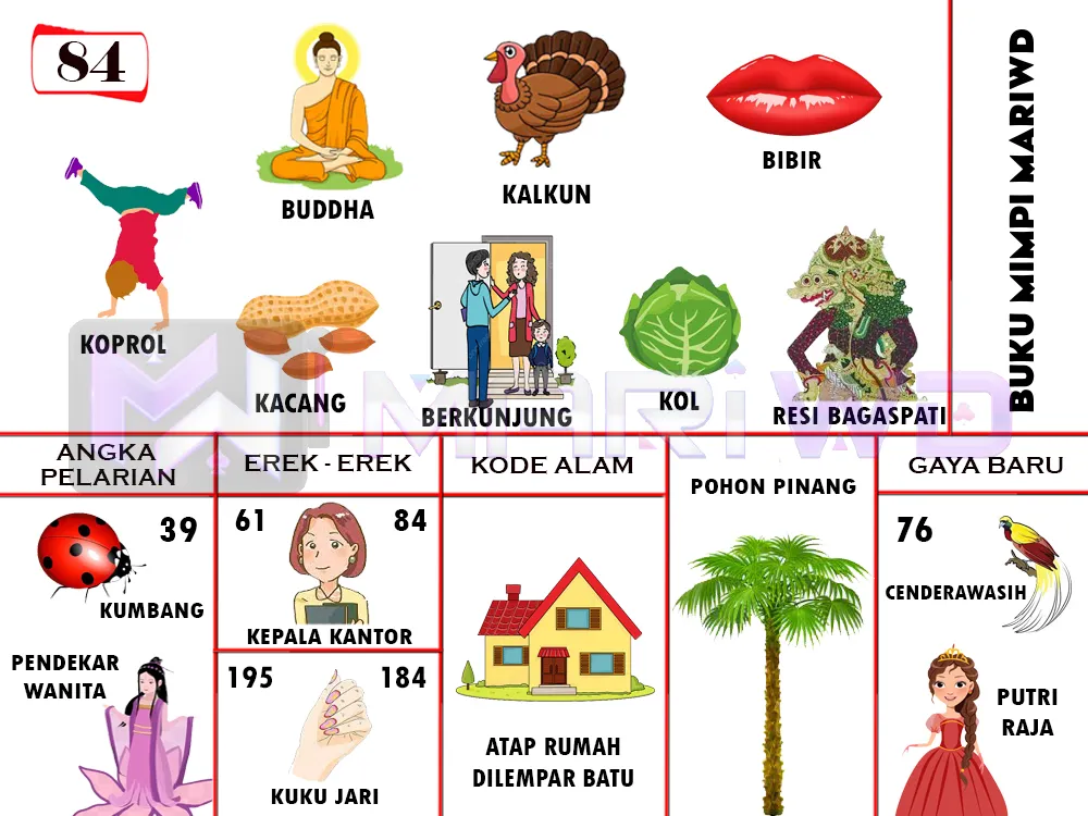 buku mimpi erek erek togel 84